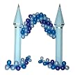 Midnight Pearls Arch Kit