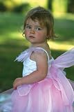 Toys : Rosebud Fairy Girls Fancy Dress outfit 3-5 years