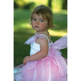 Rosebud Fairy Costume, 3-5 Year