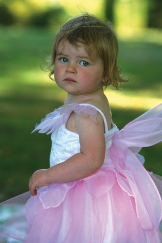 Rosebud Fairy 6 - 8yrs