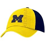 Michigan Wolverines Nike Alter Ego Campus Cap
