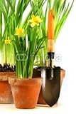 IMAGE OF Wallmonkeys Peel and Stick Wall Decals - Pots of Daffodils with Garden Shovel - 60