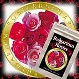 ブルガリウムロージア　30粒