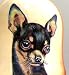   - Russian Nesting Doll Dog Chihuahua Schnauzer English Cocker Spaniel Doberman pinscher Viszla 5 Pc / 7in #dg25