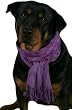 Indonesian Batik Scarf - Lavender Floral