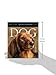 Dog Gallery 2015 Calendar