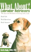 What About Labrador Retrievers: The Joy and Realities of Living with a Lab (What About?)
