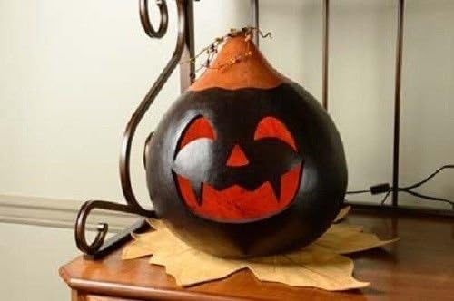 Meadowbrooke Gourds - Quinn, Large - FQU-C