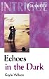 Echoes in the Dark (A Woman of Mystery, Book 14) (Harlequin Intrigue Series #344)