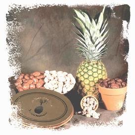 Collector Signature Tin : Chocolate , Praline by ITM