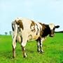 Atom Heart Mother