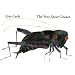 The Very Quiet Cricket