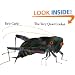 The Very Quiet Cricket