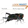 The Very Quiet Cricket