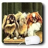 Dogs Pekingese - Pekingese - Mouse Pads