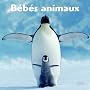 B�b�s animaux