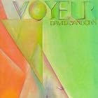Voyeur by  David Sanborn 