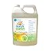 Natural Concentrated Liquid Dish Soap - Light Citrus Scent - Non-Toxic, Plant-Based, Hypoallergenic - 128 Ounce Bulk Refill Bottle (Pack of 2)