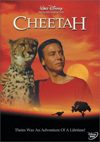 Review of Cheetah Online