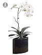 27" Potted Artificial White Silk Phalaenopsis Orchid Plant