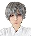 ROLECOS Mens Short Straight Anime Cosplay Wigs Fluffy Synthetic Hair Wig Grey JF532