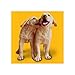 Pedigree Meaty Ground Dinner Puppy Complete Chicken & Beef Canned Dog Food 13.2 Ounces (Pack Of 24)