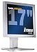 Iiyama AS4332UT 17 Zoll TFT-Monitor