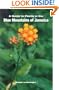 Guide to the Plants of the Blue Mountains of Jamaica, A