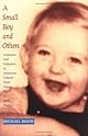 A Small Boy and Others: Imitation and Initiation in American Culture from Henry James to Andy Warhol (Series Q)