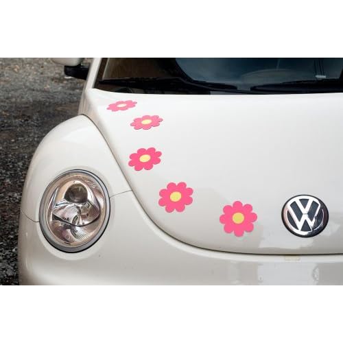 Pink Daisy Car