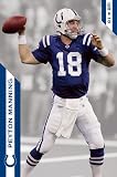 Peyton Manning Poster ~ Indianapolis Colts Super Bowl