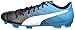 PUMA Men's Evopower 4.3 FG Sneaker