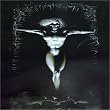 Samhain Box Set