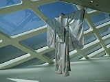 Kimono Hangs From a Skylight As Part of an Exhibit Photographic Poster Print by Eightfish , 30x40 41TGA3UXhFL. SL160 Kimono Hangs From a Skylight As Part of an Exhibit Photographic Poster Print by Eightfish , 30x40