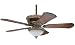 Hunter Ceiling Fans 23919 Burcham Fan Brushed Walnut Light Kit Indoor Fan 52 Carved Wood