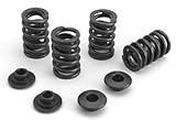 IMAGE OF Crane Cams 44308-1 Valve Springs and Retainers Kit for Ford V8, (Set of 16)