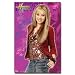 Hannah Montana Art Poster Print, 23x34