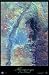 Albuquerque, New Mexico Satellite Print, 24