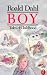 Boy: Tales of Childhood