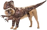 Animal Planet PET20109 Raptor Dog Costume, Small