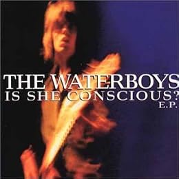 The Waterboys Foto 11