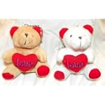 Kissing Talking Bear Key Chain
