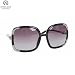 Von Zipper Alotta Sunglasses - Women's