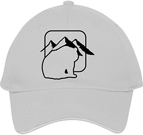 Snapback Flat Along The Hat Baseball Cap Casual Sun Hats