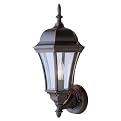 Clear Glass 1 Light Wall Lantern - Black/Gold