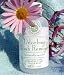Nail Polish Remover - 4 fl oz - Liquid