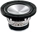 Eclipse SW6010 10-Inch 1300 Watt Subwoofer