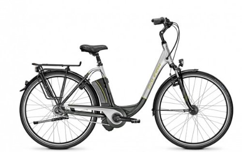 E-Bike Raleigh DOVER I 26' 8G 15AH 36V 250W 2014 Wave in grey/silver, Rahmenhöhe:46