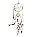 Parma77 Mart Traditional Beige Dream Catcher with Feathers Wall or Car Hanging Ornament 2 Round