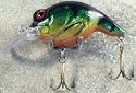 JLVLures Shallow Crankbait Metallic Perch : Diver Lures JLV Freshwater Smallmouth Steelhead Pike Salmon Trout Perch Whiper Mid Depth Walleye Casting Bass Hook Treble Bronze Boat Dock Brook Bay Little Stump River Trolling Weed Surface Topwater Shad